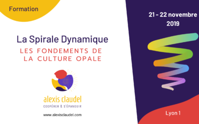 Formation : La Spirale Dynamique, fondement de la culture Opale